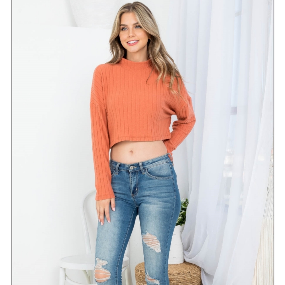 Cropped Ribbed Sweater Top